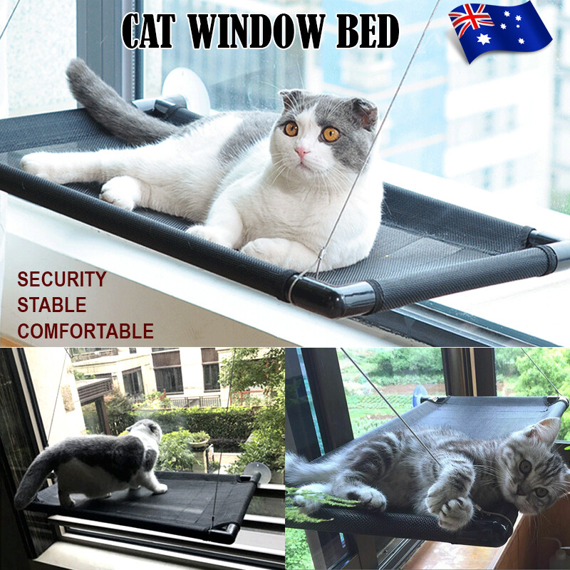 pet window hammock