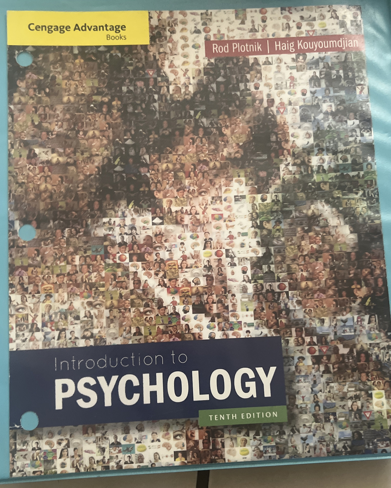Rod Plotnik Cengage Advantage Books: Introduction to Psychology by Haig ...