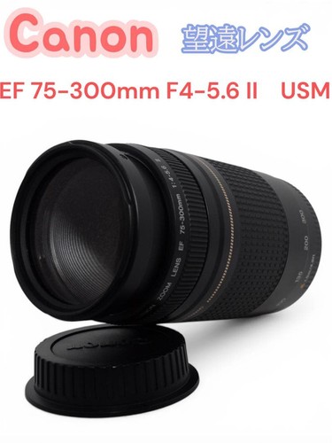 Practical Canon EF 75-300 F4-5.6 II USM Telephoto Lens