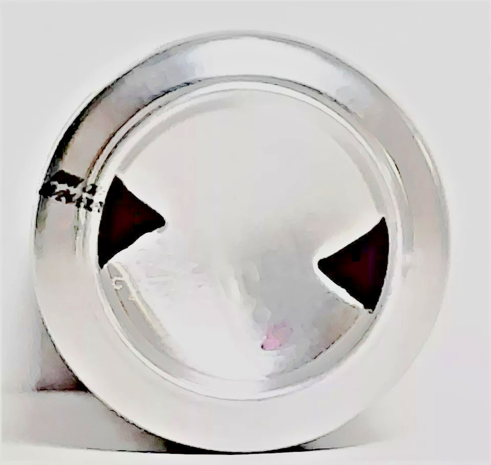 2025 BUD LIGHT 12 oz Beer Can - NFL PITTSBURGH STEELERS - STEELER NATION LIVES!