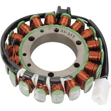 Ricks Motorsport Electric - 21-109 - Stator