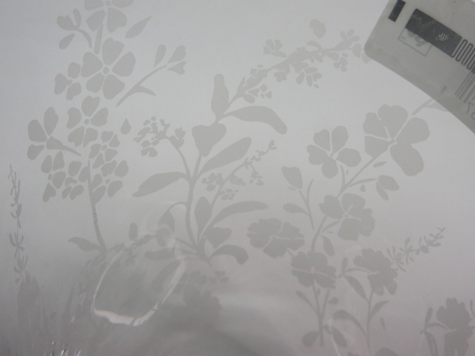 Bild 8 von 12