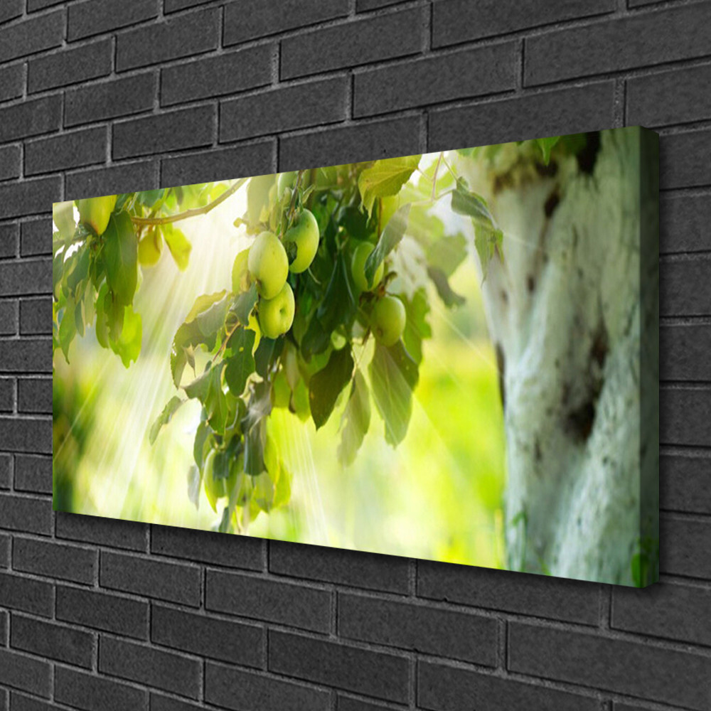 Image sur toile premium 100x50 cm motif pommes pour décoration haut de gamme