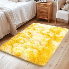 Small Rugs for Bedroom, 2x3 Fluffy Rug, Non-Slip Shag Soft Area Rug, Fuzzy Ca...