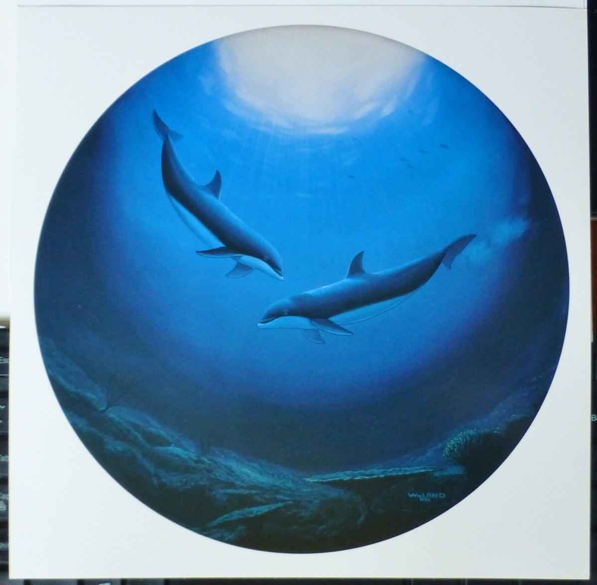 Wyland Studios DOLPHIN SERENITY Reef Ocean Wildlife Sea mini print