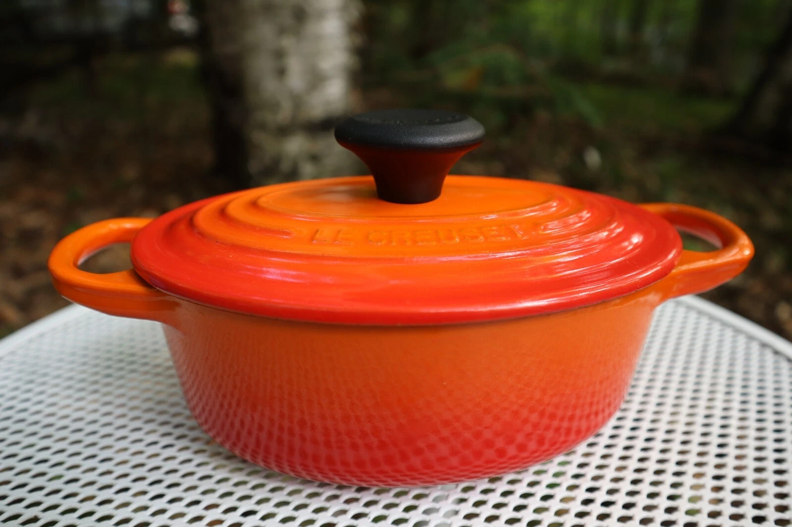 Le Creuset Oval Dutch Oven #17 Flame - New No Box