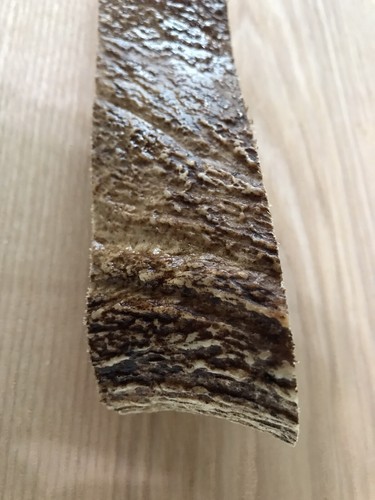 10 Pounds of Northern Maine Moose Antler Dog Chews! Organic! Treats! Med / Large - Picture 2 of 11