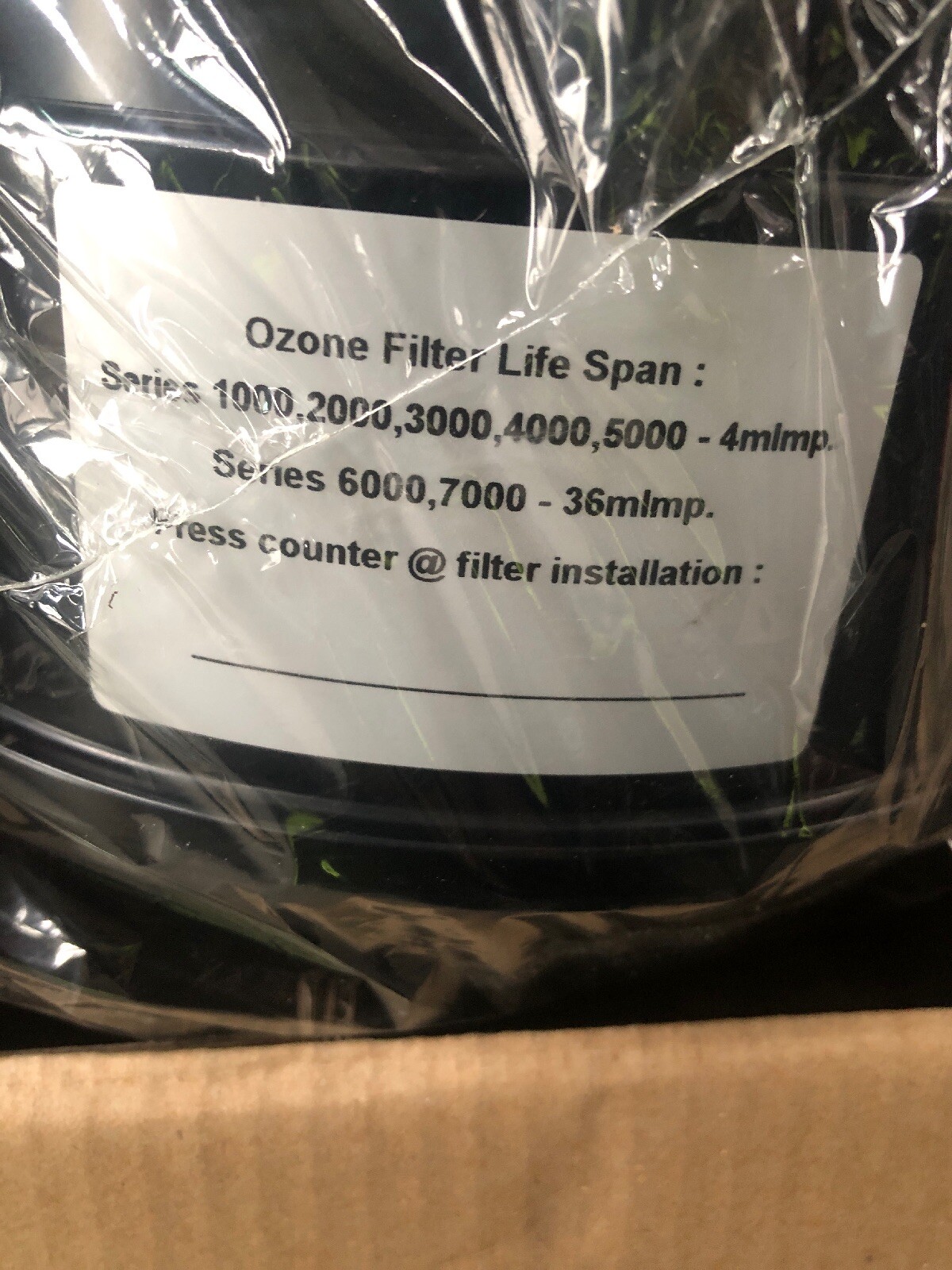 Zdjęcie 2 z 3