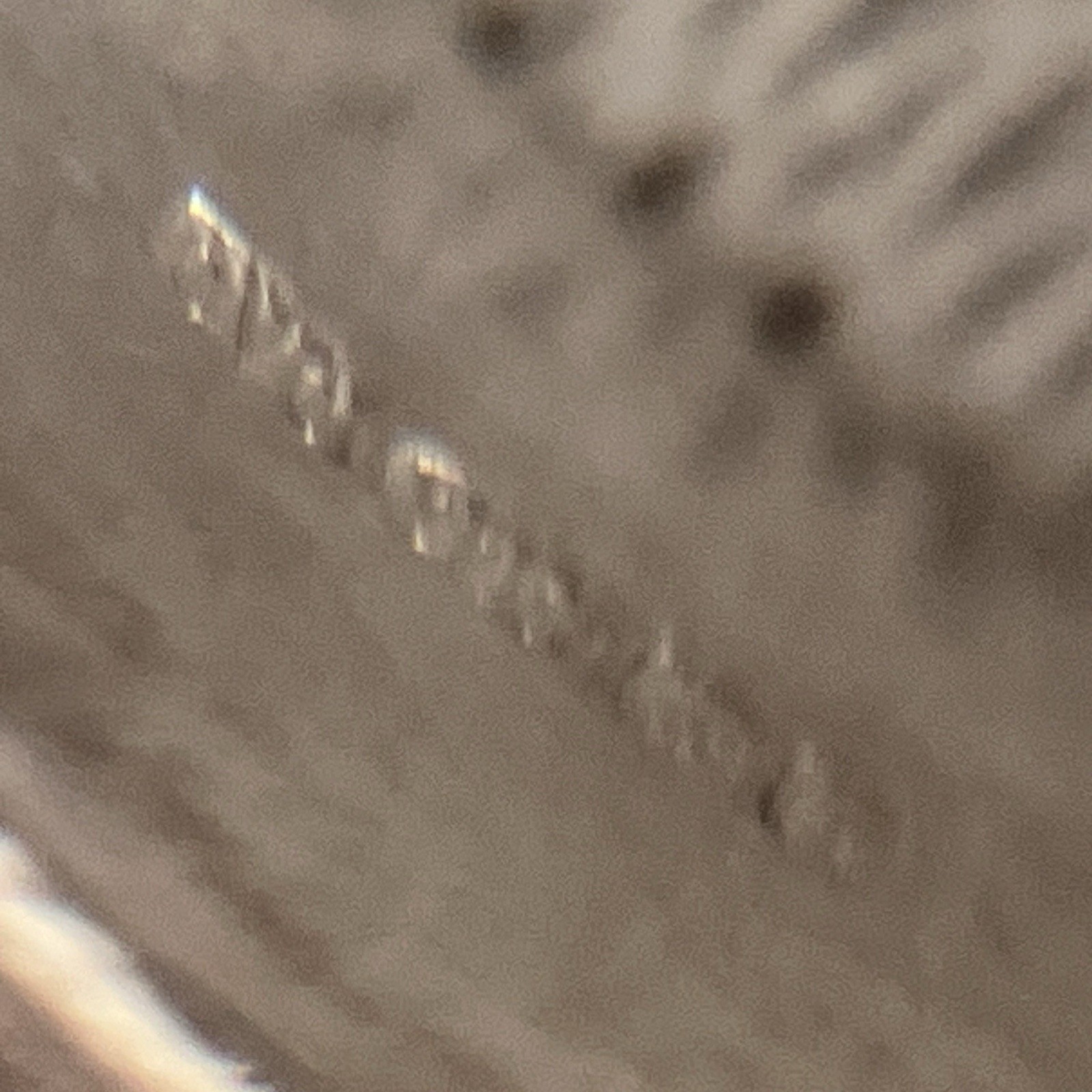 Picture 8 of 10