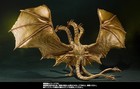 Foto 10 di 11