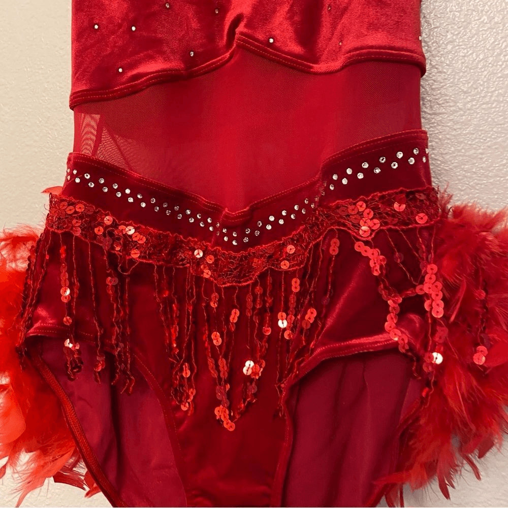 WEISSMAN solo Dance Costume red Crystal feather Leotard stoned velvet 15752 MA View 5