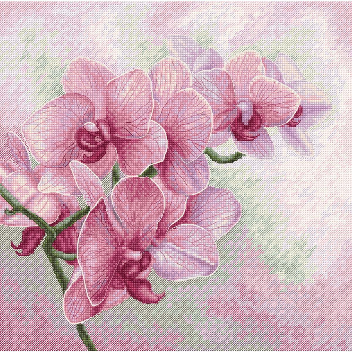 Luca-S counted cross stitch kit ""Graceful Orchids"", 25x25cm, DIY