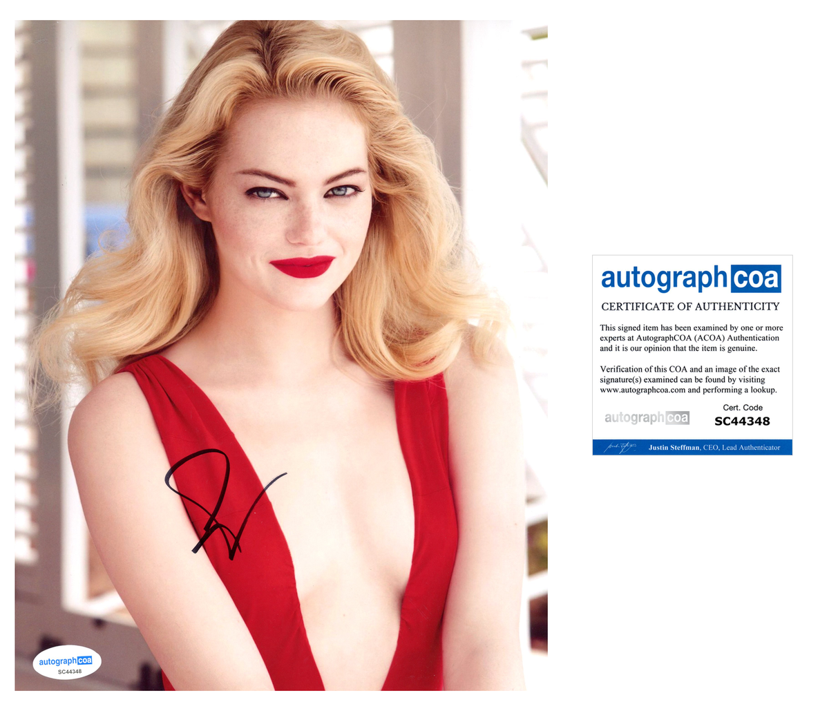 セール中…エマ・ストーン直筆サイン入り写真…アブ・アゲイン…Emma Stone エマストーン 直筆サイン入り写真 SWAU エマストーン 直筆サイン入り