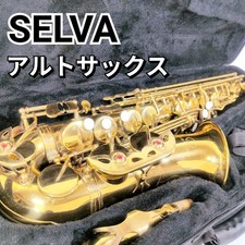 SELVA Alto Saxophone Saxophone with special case Alto Saxophone Wind instrument