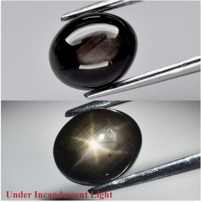 3.2ct Oval Cabochon Black 6 Ray Star Sapphire Gemstone (Heated Glass Filling)