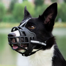 Durable Anti-Biting Adjustable Dog Muzzle Can Drink Water Breathable Pet Muzzle