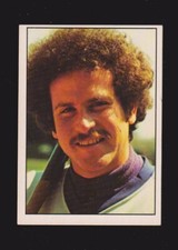 1975 SSPC #302  Steve Stone  CHICAGO CUBS  EX+   A