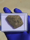 Jikharra 001 Eucrite Melt Breccia 28.925g Dual Lithology Gas Bubbles HED  — photo 4