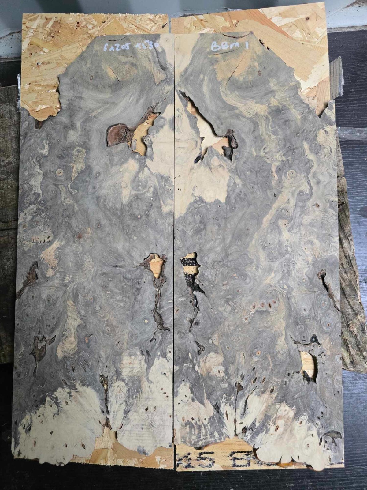 Master Grade Buckeye Burl Guitar Drop Top 6 x 205 x 530 mm Timber Lumber