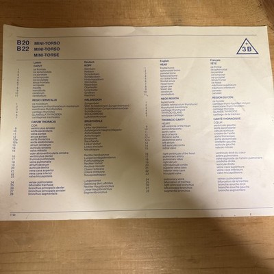 B20 B22 Mini-Torso Part Names Chart (PAPER ONLY)