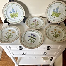 6 Georges Briard Private Collection Victorian Gardens Flowers 7.5" Salad Plates