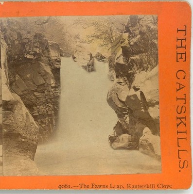 Fawn's Leap Kauterskill Clove Catskills NY E&HT Anthony Stereoview