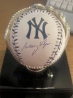 Anthony Volpe Signed & autograph Baseball with Fanatics COA