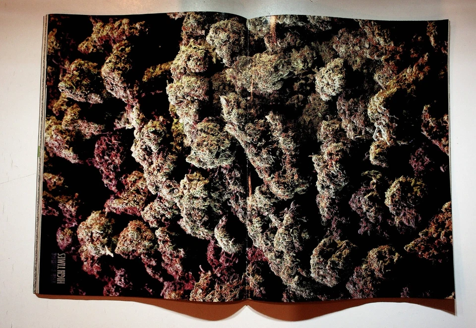 2010 May High Times Magazine Edward Norton Medical Marijuana Manitoba Canada Pot - Image 3 of 4