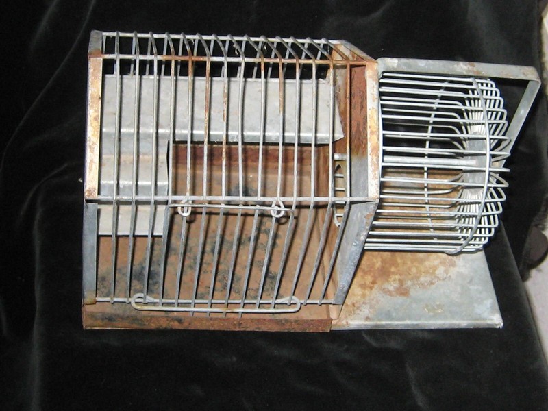 Vintage OLD FASHIONED All Metal Mouse Gerbil Cage House w/ Exercise Wheel -Rusty