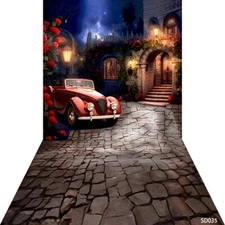 10'x20'Computer-Painted Street Car flower Scenic Photo Backdrop Background SD035