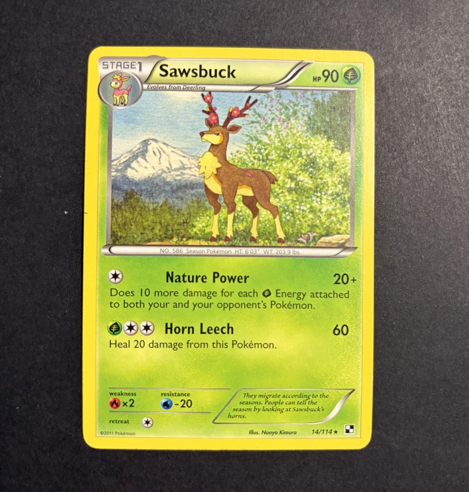 Pokémon Sawsbuck 14/114 Black & White - LP