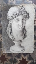 Testa Antico Disegno XIX Dieu Dea Studio Accademia