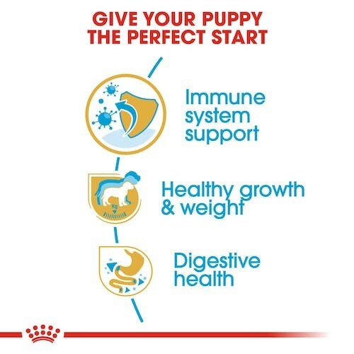 Royal Canin 12kg Labrador Puppy Dry Food - Picture 5 of 7
