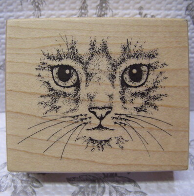 PSX Cat Face Rubber Stamp Big Eyes Kitty Kitten Tiger Tabby Vtg 1991 Unused USA