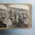 WW1 Military Stereoview C1916 Real Photo Turkey Gallipoli Wilts Boys Advance