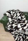 Bild 4 von 8