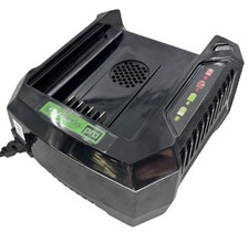 Greenworks Pro 60V Volt Ultra Power 6A Rapid Charger