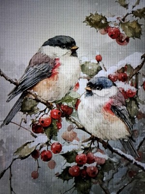 Stamped Cross Stitch Two Birds On A Branch 14ct 30x40cm 25 Colors Project Bag