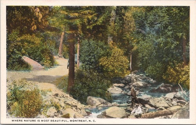 #ad #ad Where Nature Is Most Beautiful Montreat North Carolina NC WB Postcard $2.98