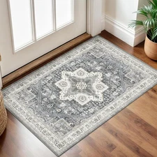 2x3 Washable Area Rug Non-Slip Stain Resistant Front Door Mat for Outside