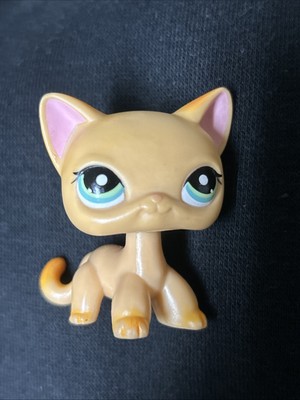 LPS Littlest Pet Shop #339 – Chat Européen Authentique Hasbro, Très Bon état