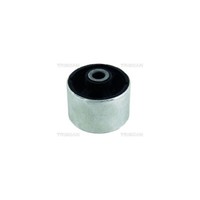 Lagerung, Lenker Triscan 8500 25830 FüR Renault, Vorderachse, Hinten, Unten
