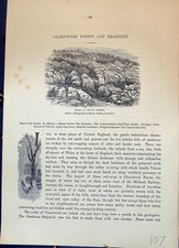 Antiker alter Druck Charnwood Wald Felsen Reittier Sauerampfer England Cassell um 1882