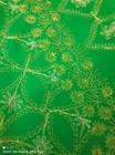 Hand Embroidered Gujarati Saree — photo 4