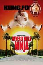 BEVERLY HILLS NINJA CHRIS FARLEY ORIGINAL CINEMA MOVIE PRINT PREMIUM POSTER