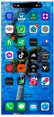 iPhone 14 Pro Unlocked With Tik Tok 
