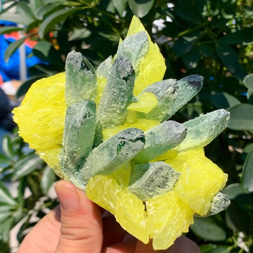 Cuarzo fantasma verde nuevo de 1,26 lb con muestra mineral en racimo de azufre amarillo - Imagen 5 de 14