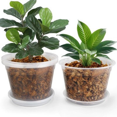 10 Inch Clear Nursery Pots with Drainage Saucers - 5 Pack for Plants
