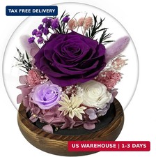 Birthday Gifts for Women Preserved Rose in Glass Dome Preserved Flowers Forever
