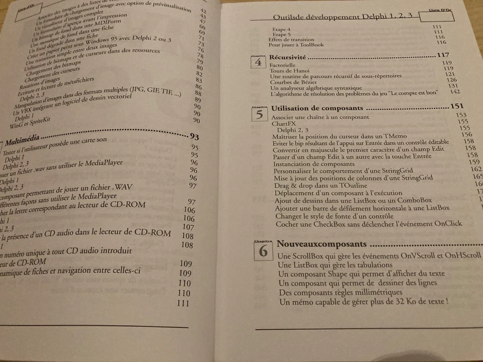 Livre Informatique Vintage "Livre d'Or Delphi 1, 2, 3"  (1997) - Photo 2/4